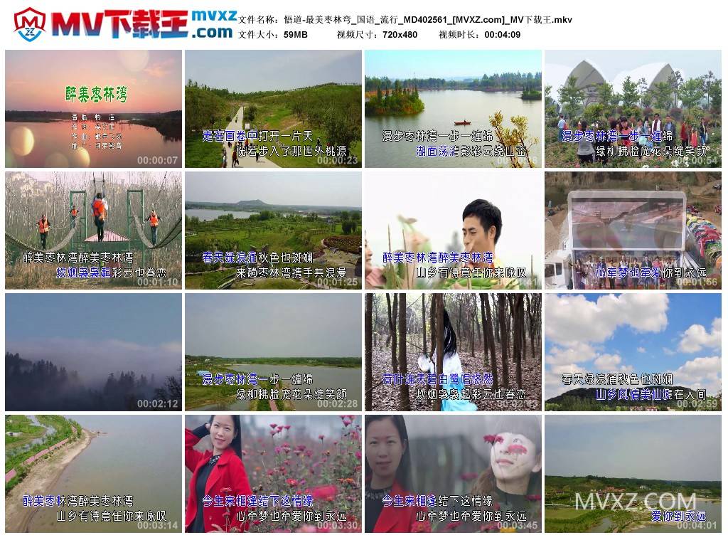 悟道-最美枣林弯_国语_流行_MD402561